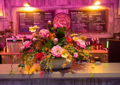 OFC's The Old Farm Cafe Spring Farmyard Festival